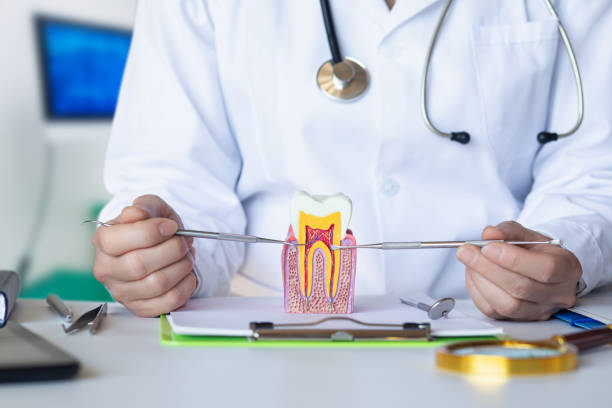 Best Cosmetic Emergency Dentistry in North Tunica, MS